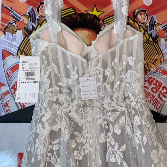 Wedding Dress - Picture 8 of 9